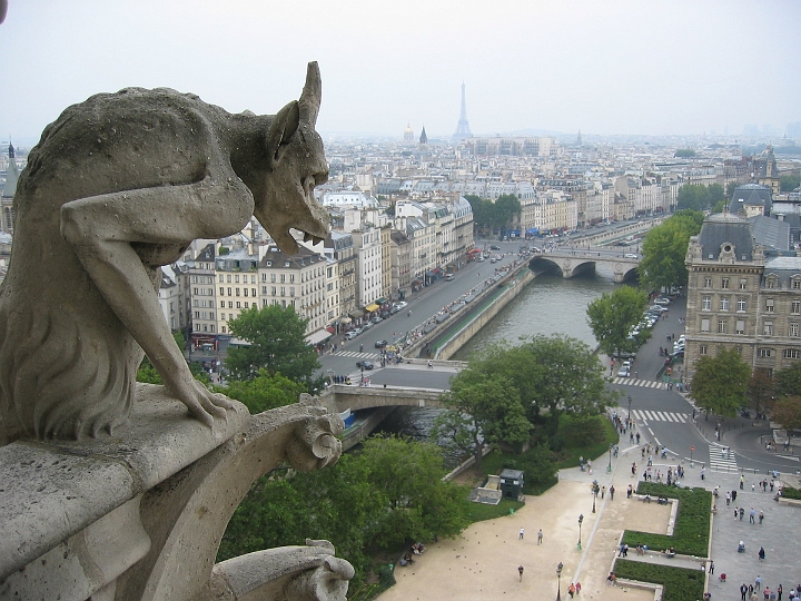 42 view of Paris from atop Notre Dame.jpg